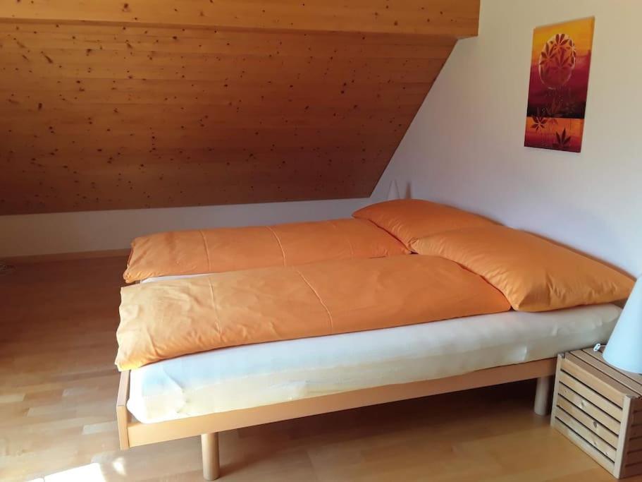 Zwinglis Ferienwohnung Rosi Nesslau Екстер'єр фото